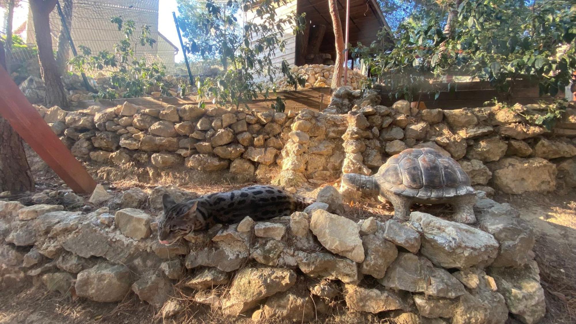 Les Jardins De L'Oustal Villa Narbonne Kültér fotó